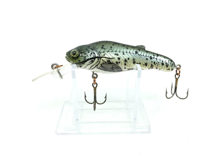 Crankbait Corp Fingerling Bullcat Series Channelcat Color 40