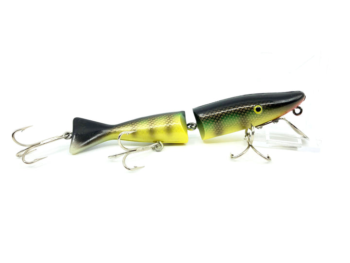 Radtke Pike Perch Color