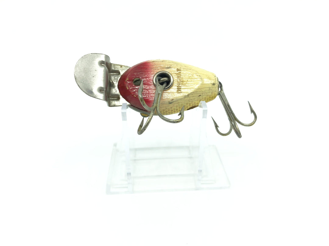 Creek Chub 5100 Dingbat in Golden Shiner Color 5104 Missing Wings