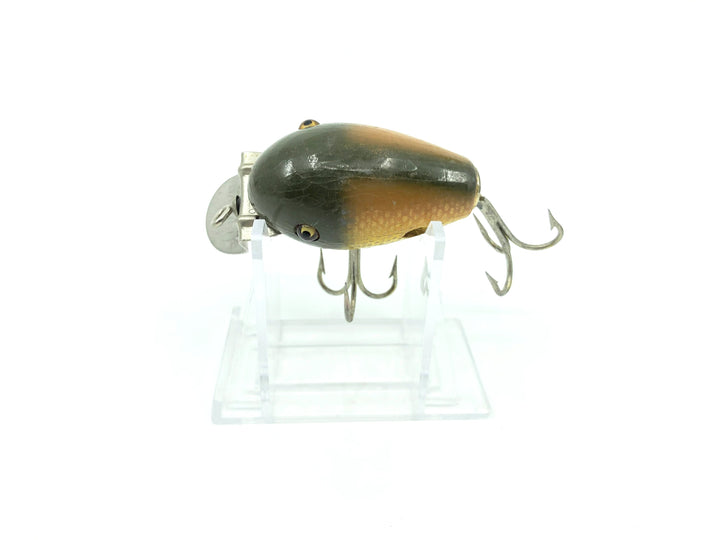 Creek Chub 5100 Dingbat in Golden Shiner Color 5104 Missing Wings