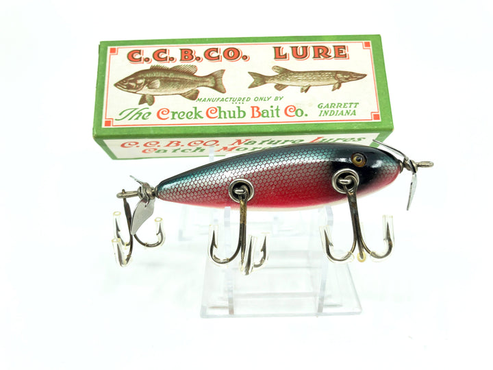 Creek Chub Injured Minnow 1505 Red Side Color with Nice Box
