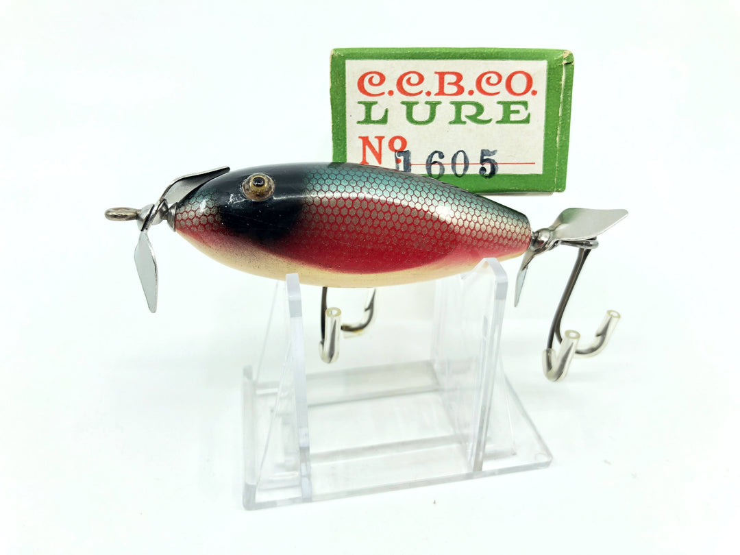 Creek Chub Baby Injured Minnow 1605 Red Side Color with Nice Box