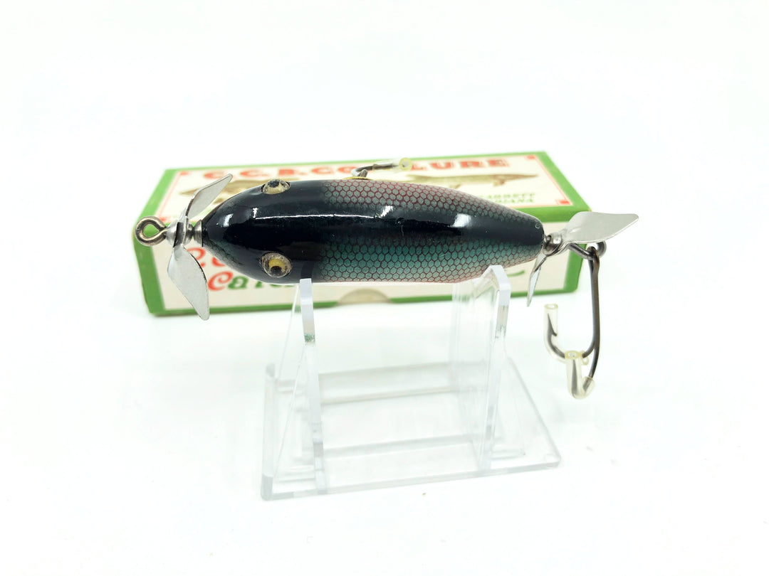 Creek Chub Baby Injured Minnow 1605 Red Side Color with Nice Box