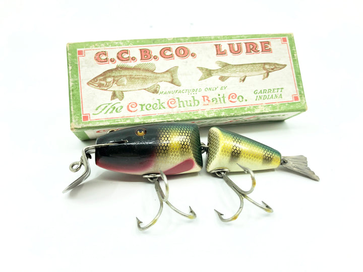 Creek Chub Wigglefish 2401 in Perch Color with Box - Double Line Tie