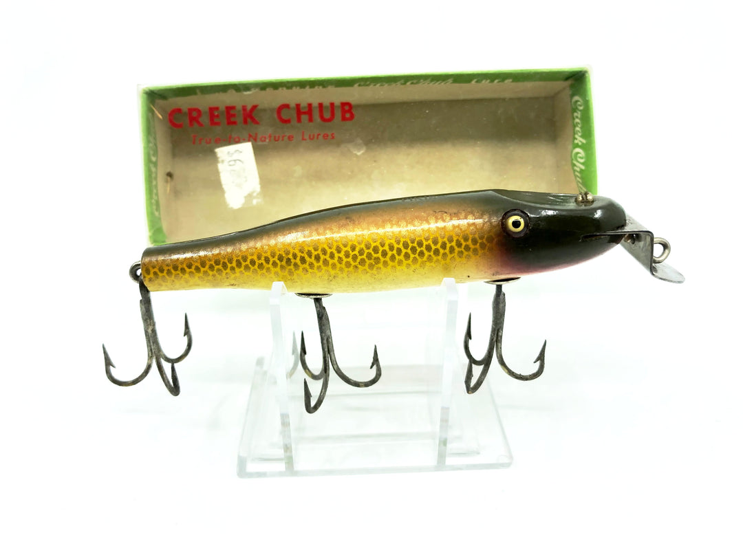Creek Chub Pikie Minnow 700 Golden Shiner Color 704 with Box