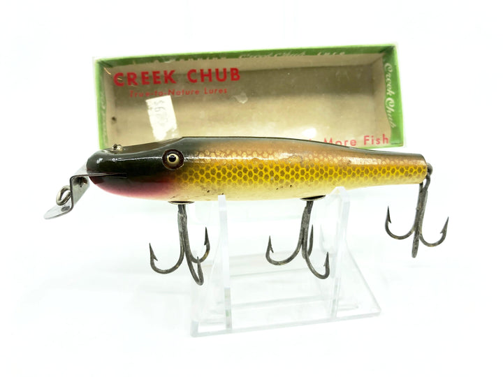 Creek Chub Pikie Minnow 700 Golden Shiner Color 704 with Box