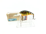 Rebel Suspend R D9773 in Naturalized Perch with Box