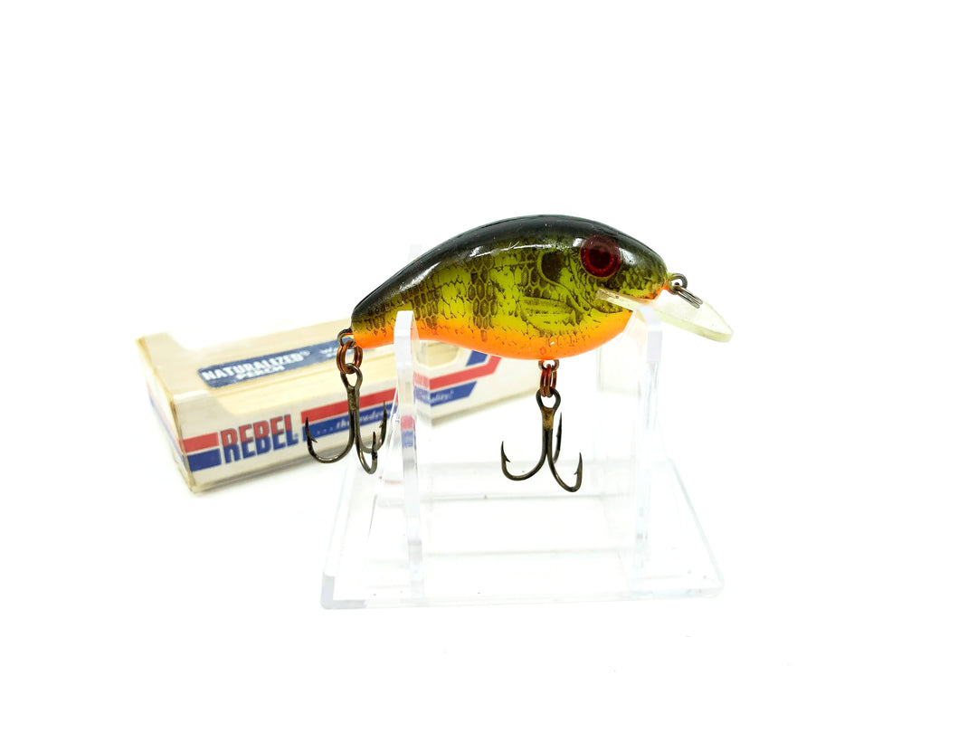 Rebel Wee R F9373 in Naturalized Perch with Box
