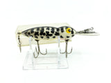 Whopper Stopper Hellbender Coach Dog Color with Box