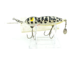 Whopper Stopper Hellbender Coach Dog Color with Box