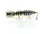 Whopper Stopper Hellbender Coach Dog Color with Box