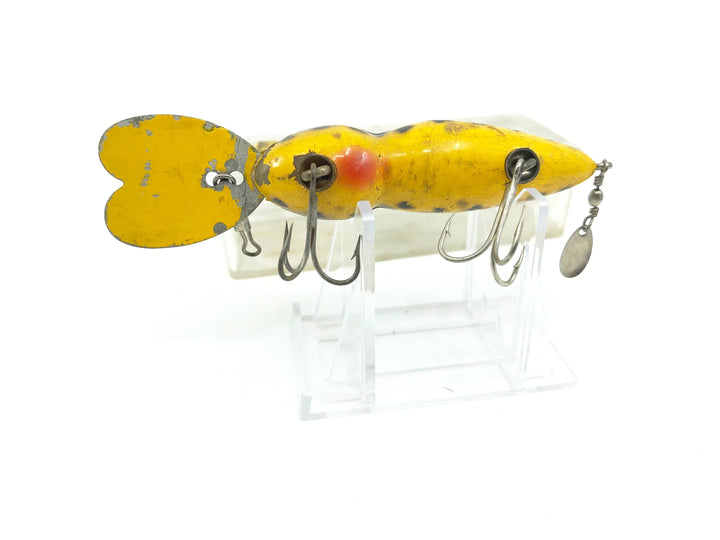Whopper Stopper Hellbender Yellow Coach Dog Color with Box