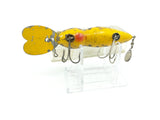 Whopper Stopper Hellbender Yellow Coach Dog Color with Box