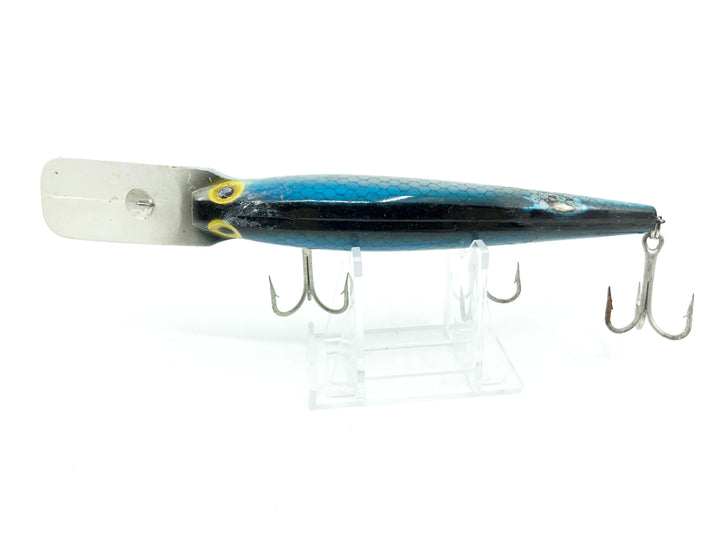 Storm Big Mac Blue Scale Color