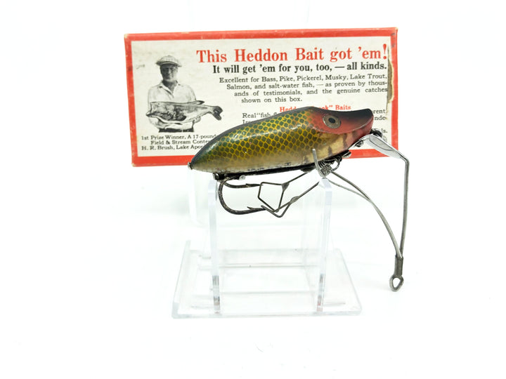 Heddon River Runt No-Snag N9119L Perch Color with Brush Box / Catalog