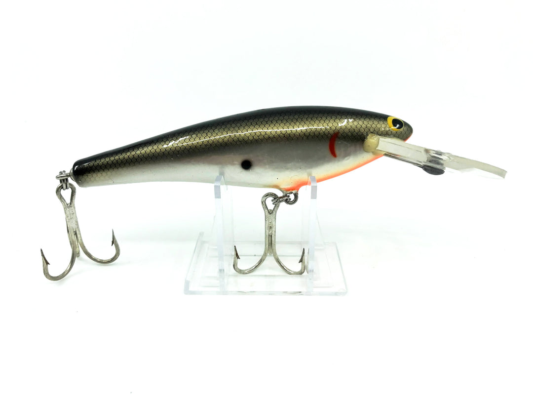 Bagley DB06, TS Tennessee Shad Color - Vintage