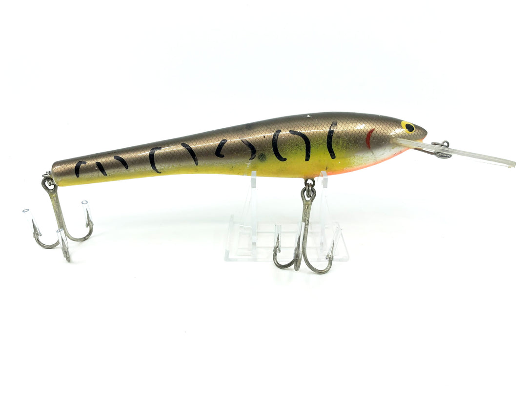 Bagley DB08, Fisherman Special Color - Earlier Vintage