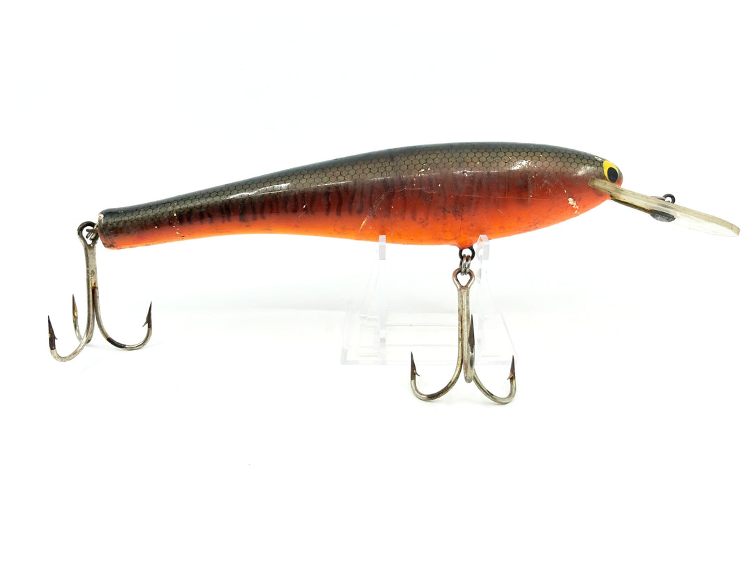 Bagley DB08, LMO Little Musky on Orange Shad Color - Earlier Vintage