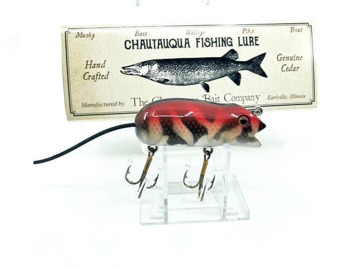 Chautauqua Swimming Mouse in Bloodback PREMIUM Color