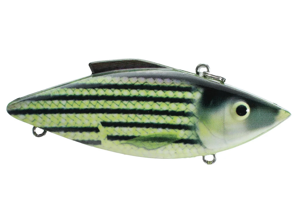 Bill Lewis Rat-L-Trap Bar Fish Color 258 New Stock