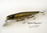 Chautauqua Minnow Spotted Hogsucker
