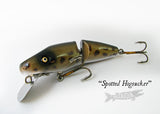 Chautauqua Super Shark Spotted Hogsucker