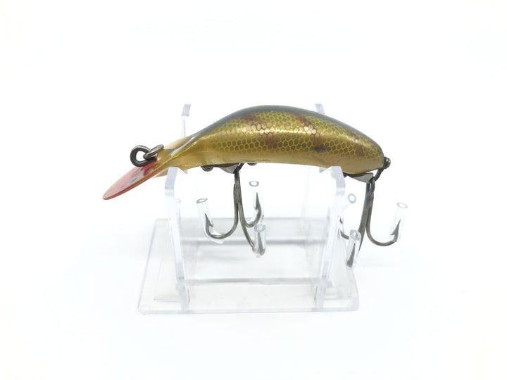 Heddon Tadpolly Spook Perch Color