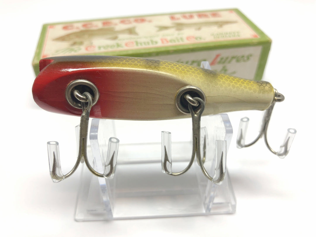 Creek Chub 8000 Midget Darter in Perch Color Concave Belly 8001 CB with Box