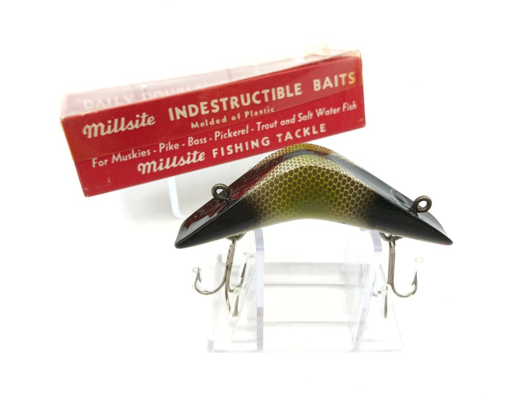 Millsite Daily Double Pike Scale Color 807 with Box