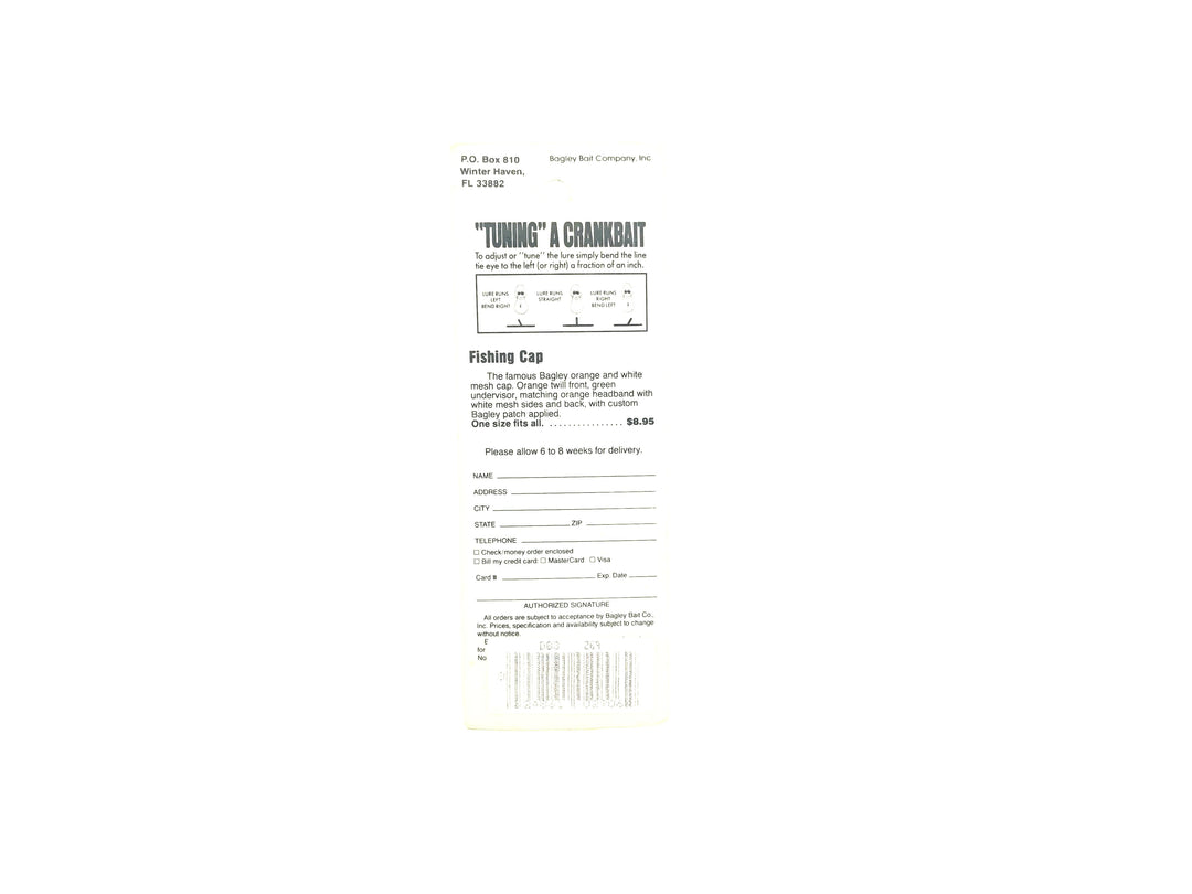 Bagley Diving B3 DB3-Z69 Dazzl-R Laser Scale, Dazzle Green on Chartreuse Color New on Card Old Stock