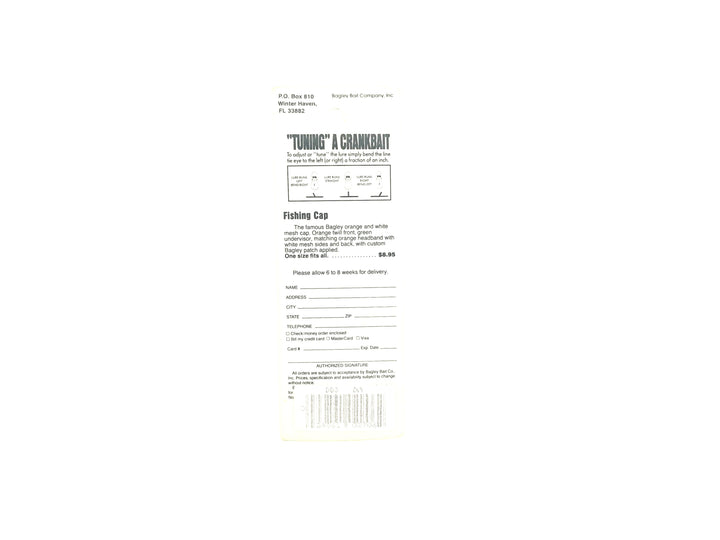 Bagley Diving B3 DB3-Z69 Dazzl-R Laser Scale, Dazzle Green on Chartreuse Color New on Card Old Stock