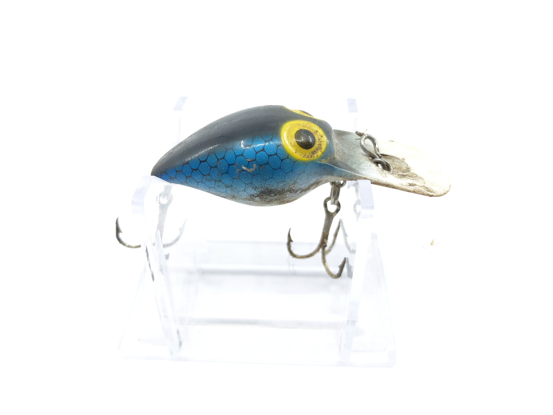 Storm Wee Wart Blue Scale Color