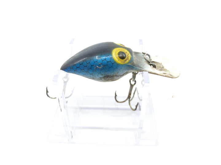 Storm Wee Wart Blue Scale Color