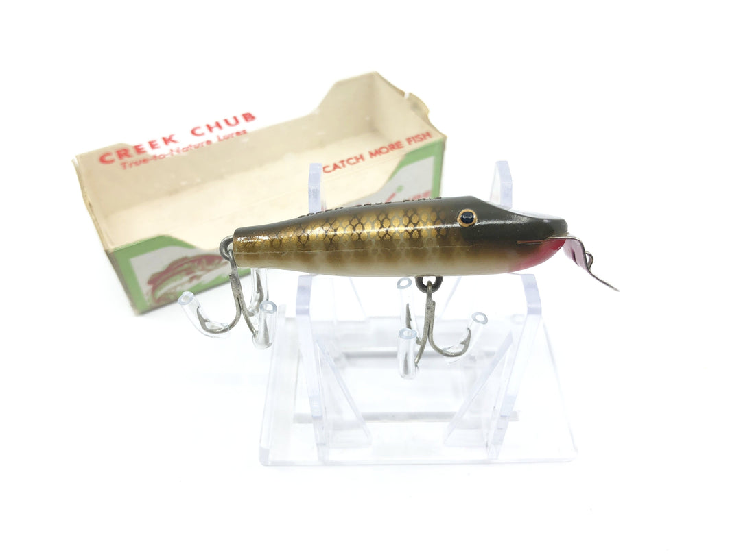 Creek Chub 9300 PI Spinning Pikie with Box Pike Color