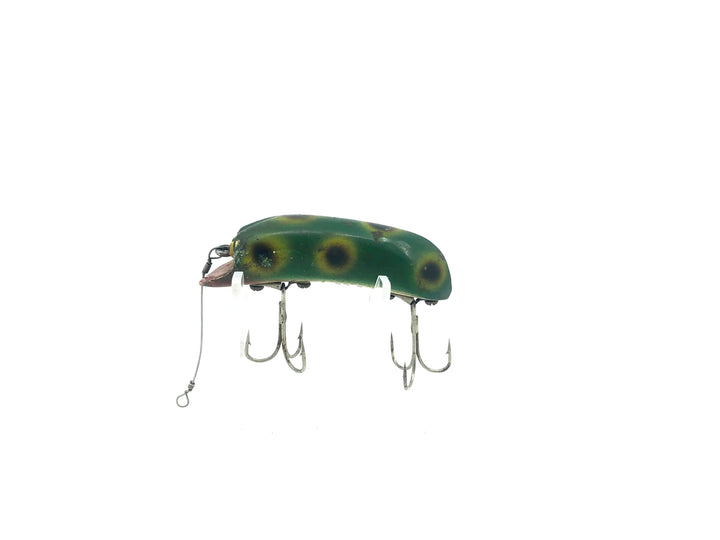 P & K Bright Eyes Frog Color