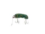 P & K Bright Eyes Frog Color