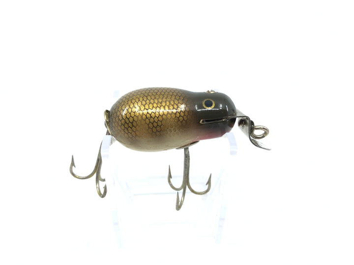 Creek Chub 6400 Tiny Tim Pikie Color