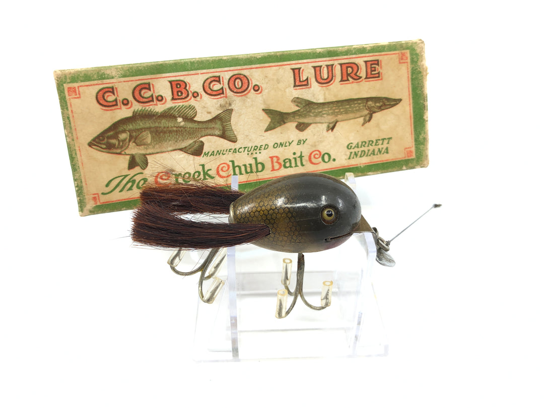 Creek Chub 5200 Baby Dingbat in Pikie Scale Color with Box