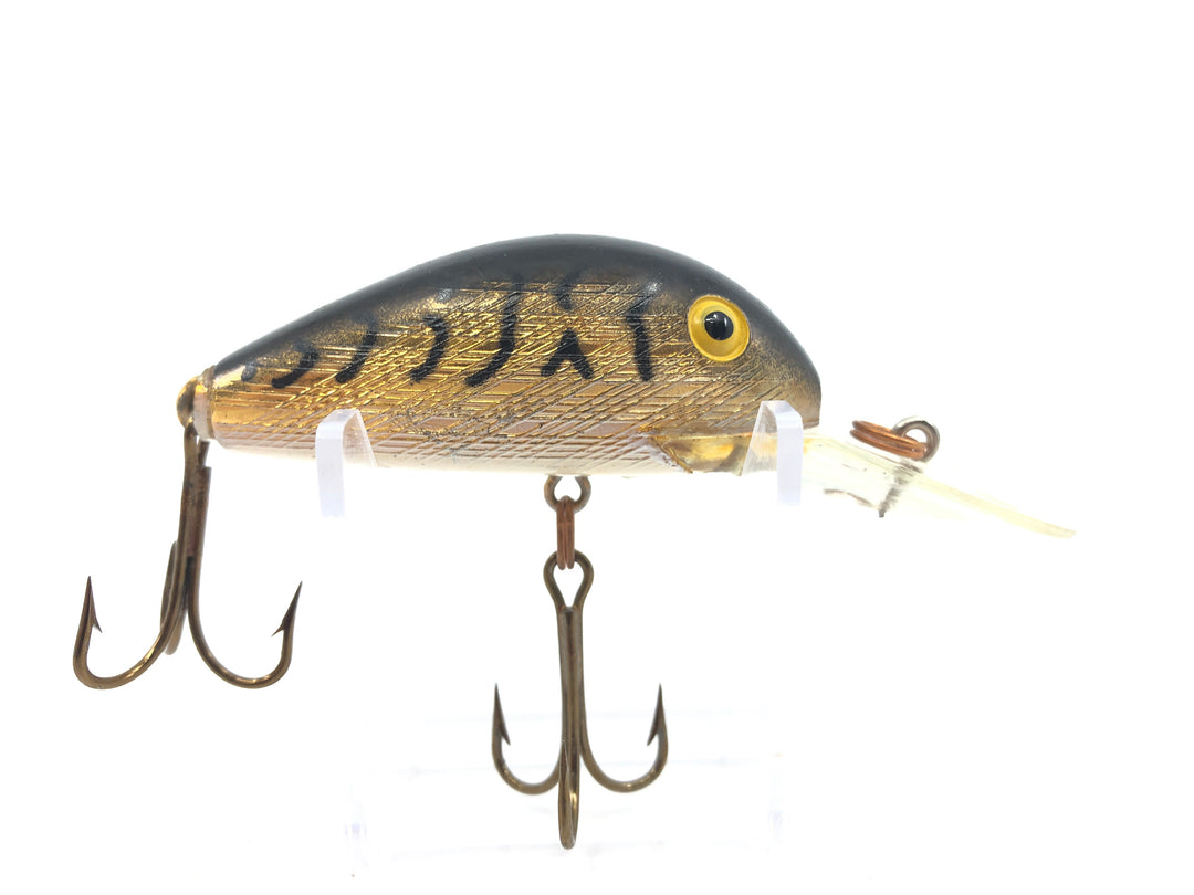 Rebel Super R Gold Black Stripes #12 Color