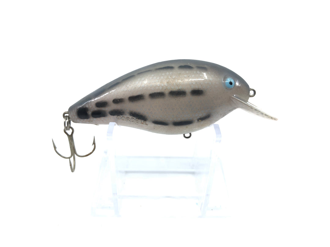 Cordell Big-O Gray with Black Dashes Color