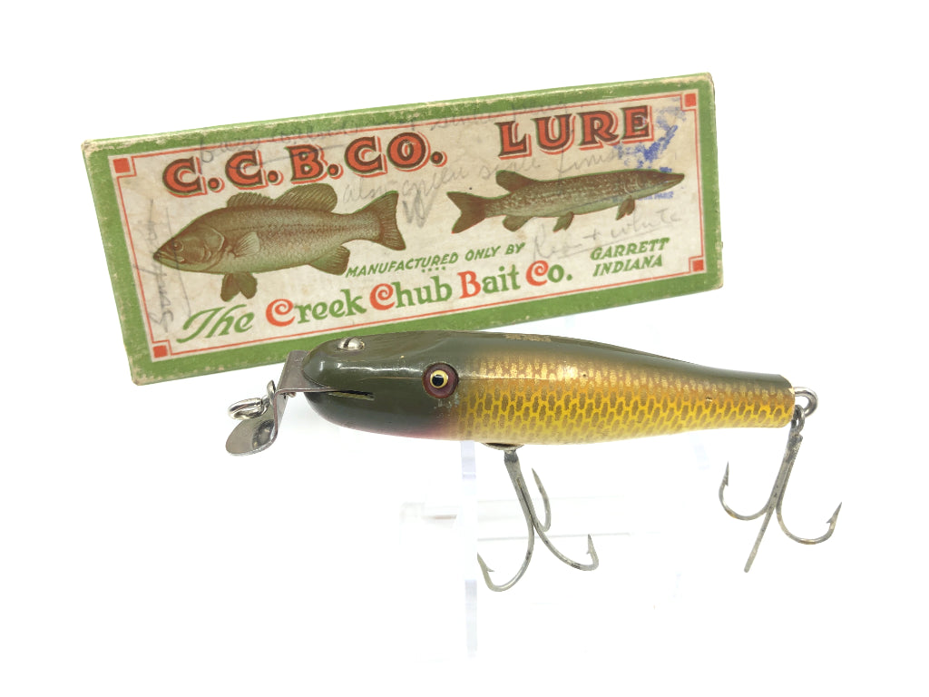 Creek Chub 904 Baby Pikie in Rare NRA Stamped Box Golden Shiner Color
