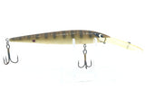 Smithwick Suspending Rogue Brown Perch 