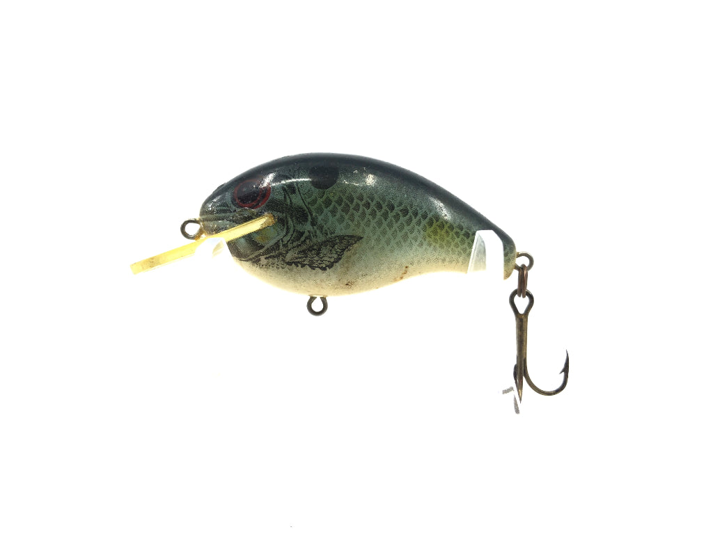 Rebel Wee R Naturalized Shad Color 74