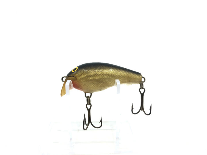 Rapala Fat Rap Shallow Gold and Black