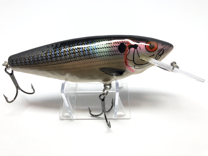 Bagley Monster Shad MSD-BGL Bluegill / Shad Color New in Box OLD STOCK