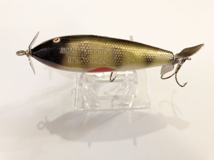 Creek Chub Injured Minnow Perch Color
