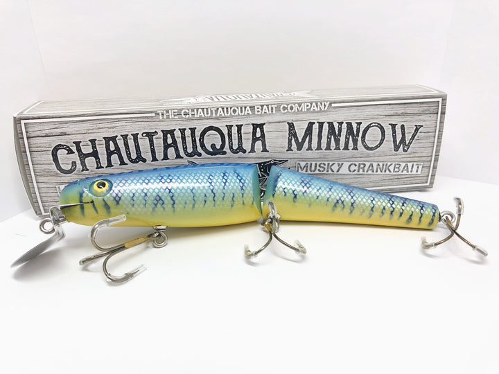 Jointed Chautauqua 8" Minnow Musky Lure Special Order Color "Electric Blue"