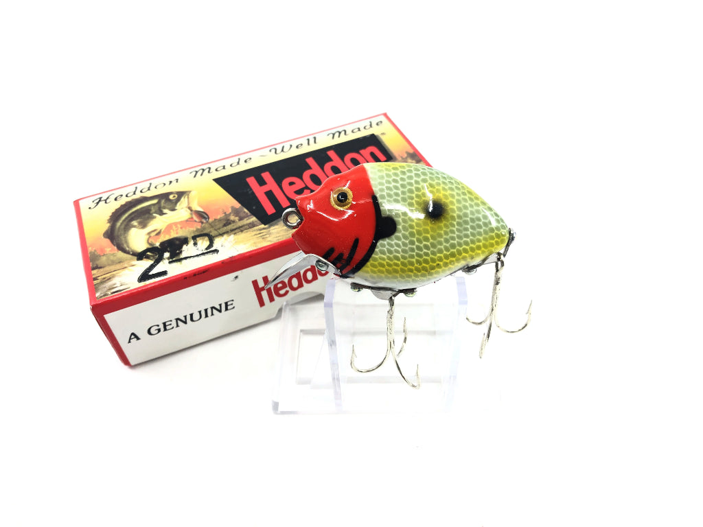 Heddon 9630 2nd Punkinseed X9630JRH Frog Scale Red Head Color New in Box