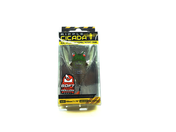 Chasebaits Ripple Cicada, Green Blue Pearl Color