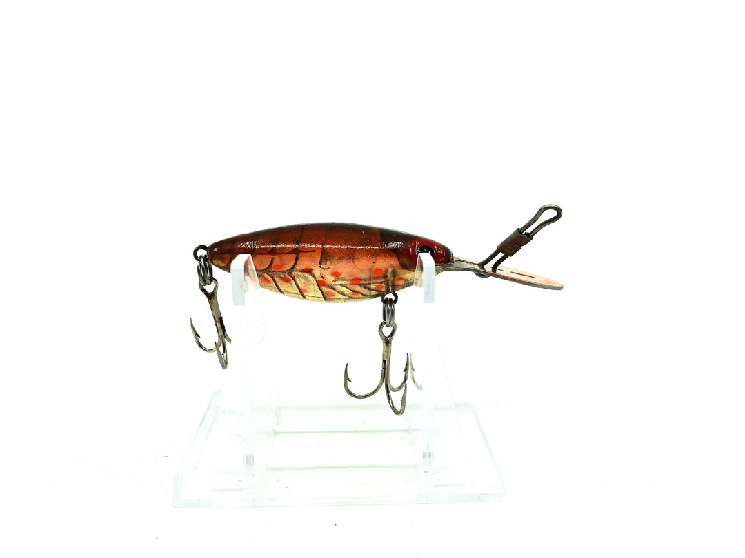 Storm Thin Fin Hot 'N Tot, H Series, H59 Phantom Brown Crayfish Color